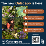 Calscape Ad