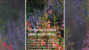 Calscape Video Thumbnail